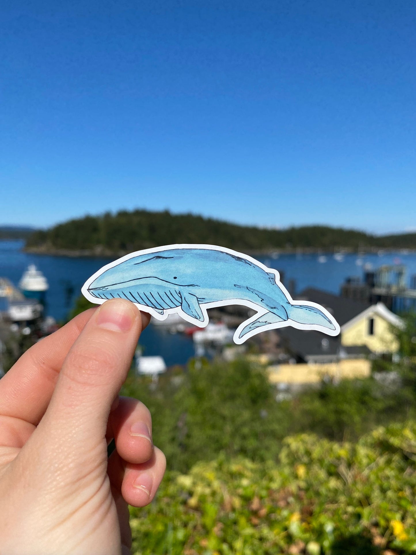 Waterproof blue whale watercolor sticker.