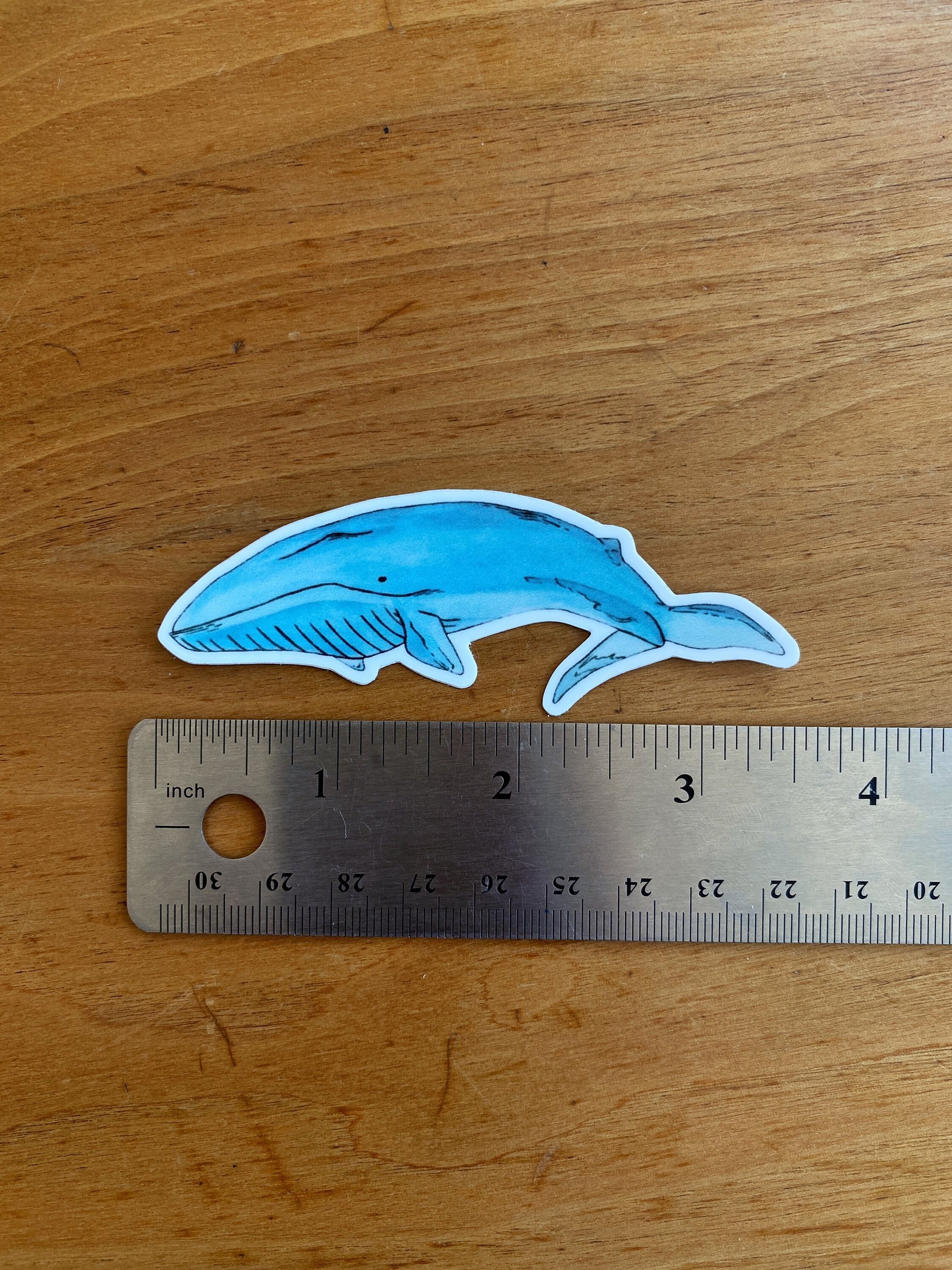 Waterproof blue whale watercolor sticker.