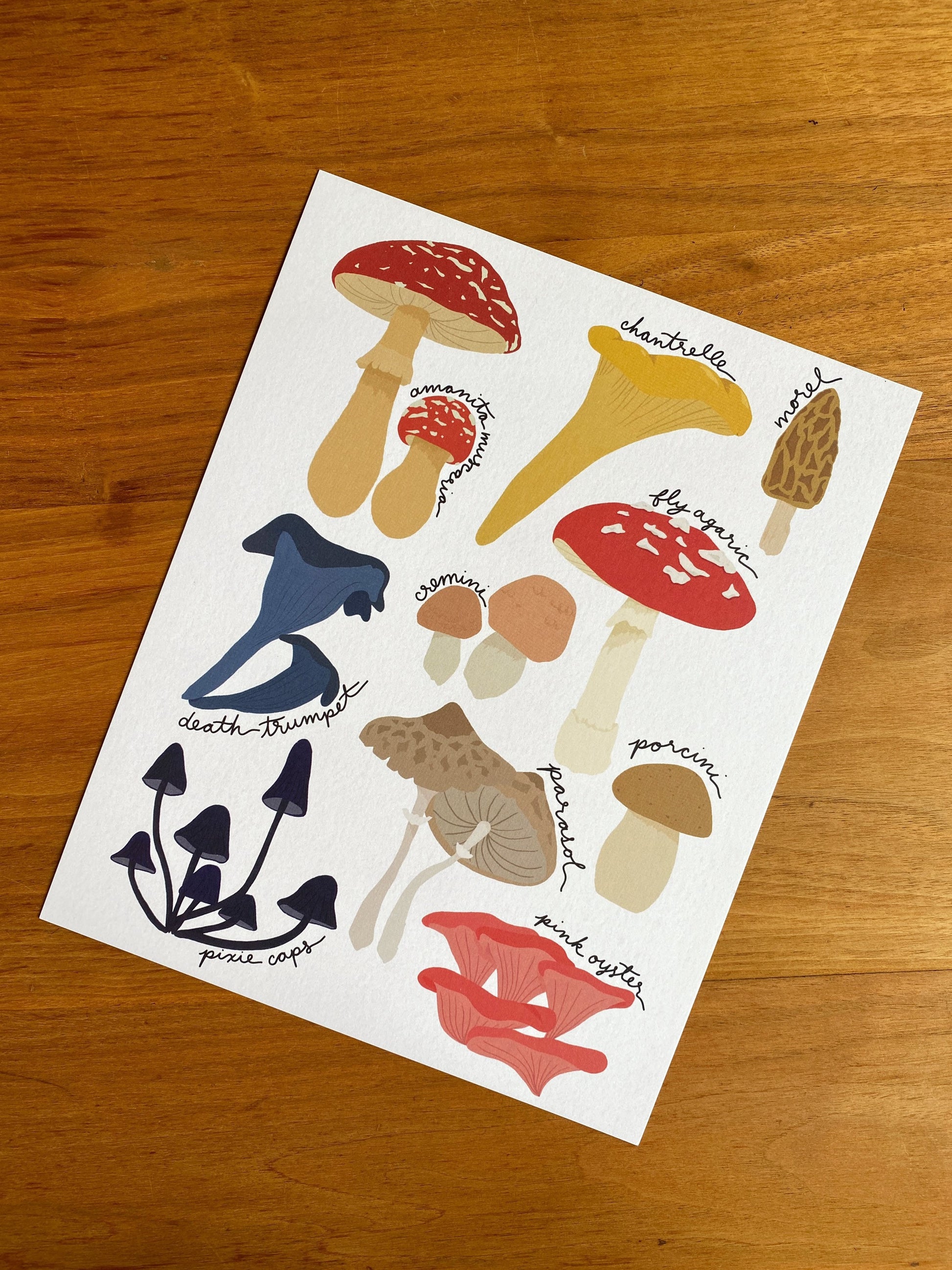 8" x 10" mushroom art print