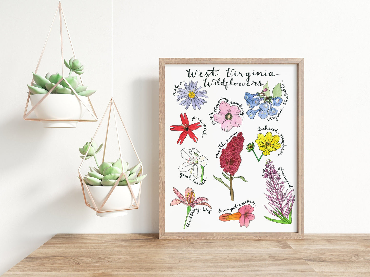 8" x 10" West Virginia wildflower watercolor art print