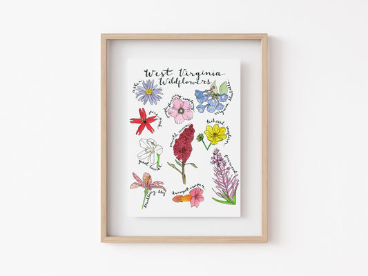 8" x 10" West Virginia wildflower watercolor art print