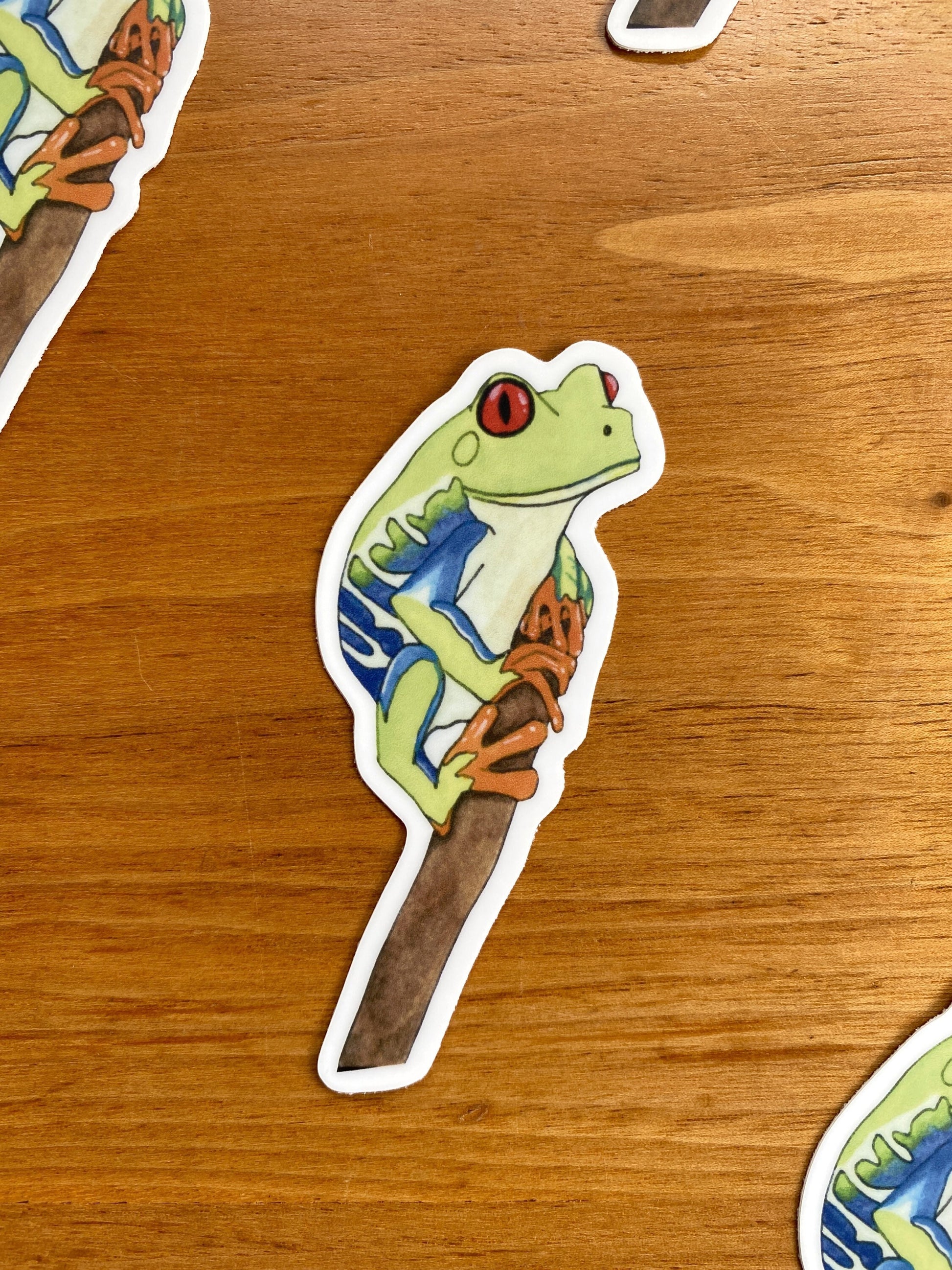 watercolor red eyed tree frog waterproof sticker