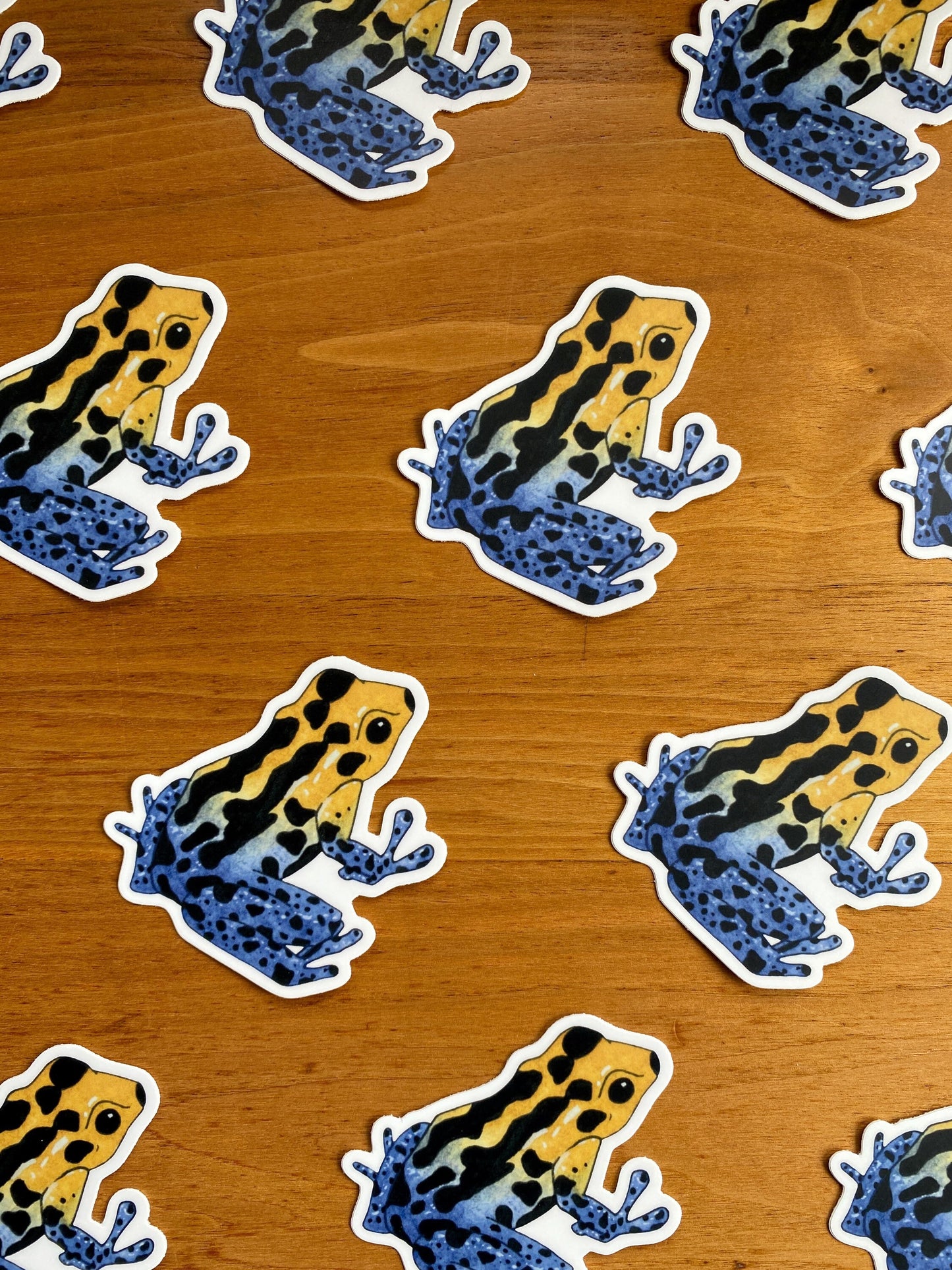 Watercolor dart frog sticker.