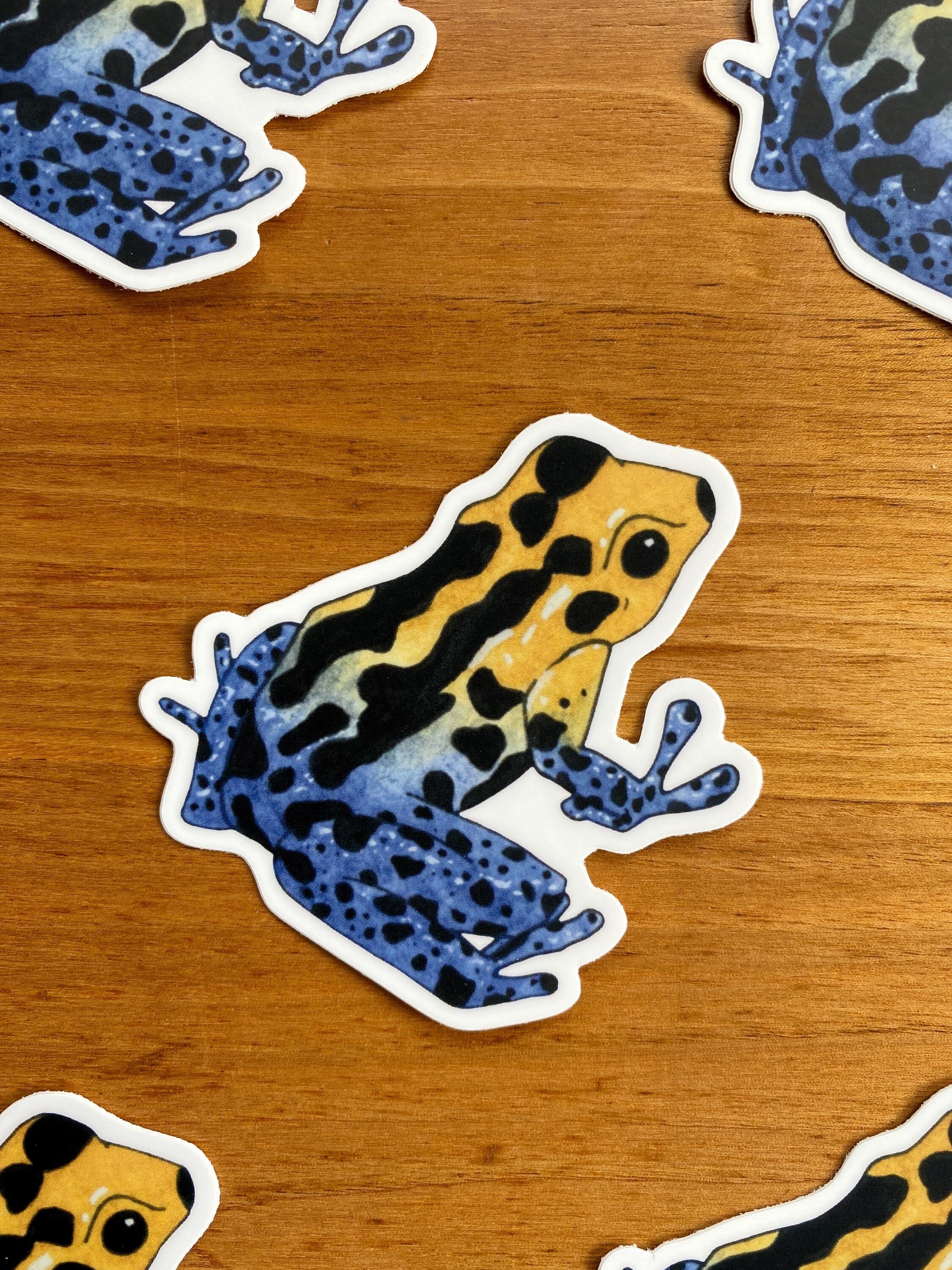 Watercolor dart frog sticker.