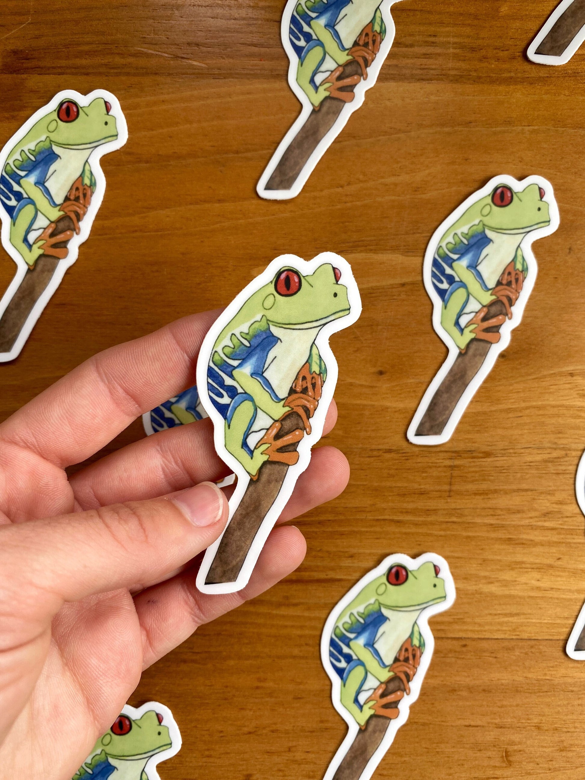 watercolor red eyed tree frog waterproof sticker