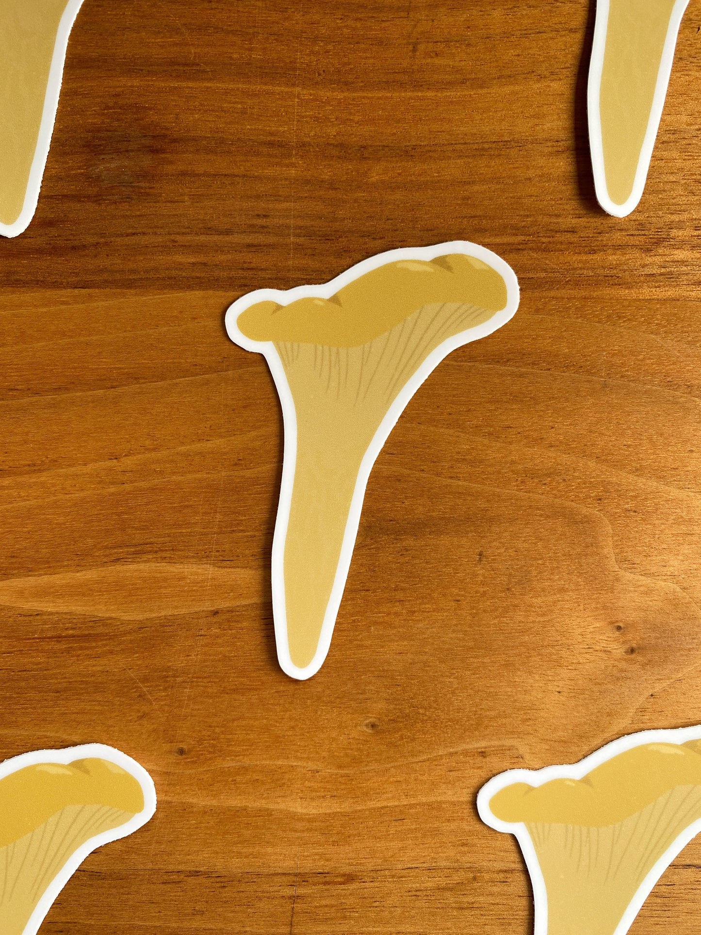 Waterproof chanterelle mushroom sticker