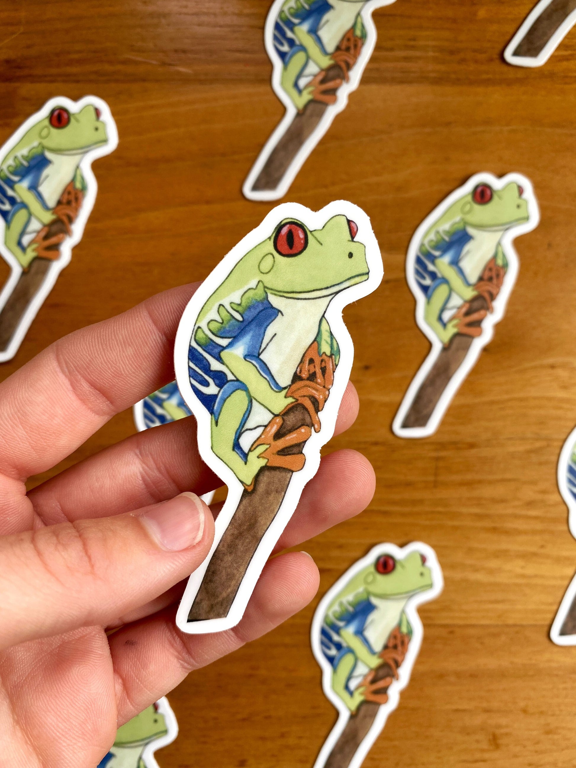 watercolor red eyed tree frog waterproof sticker