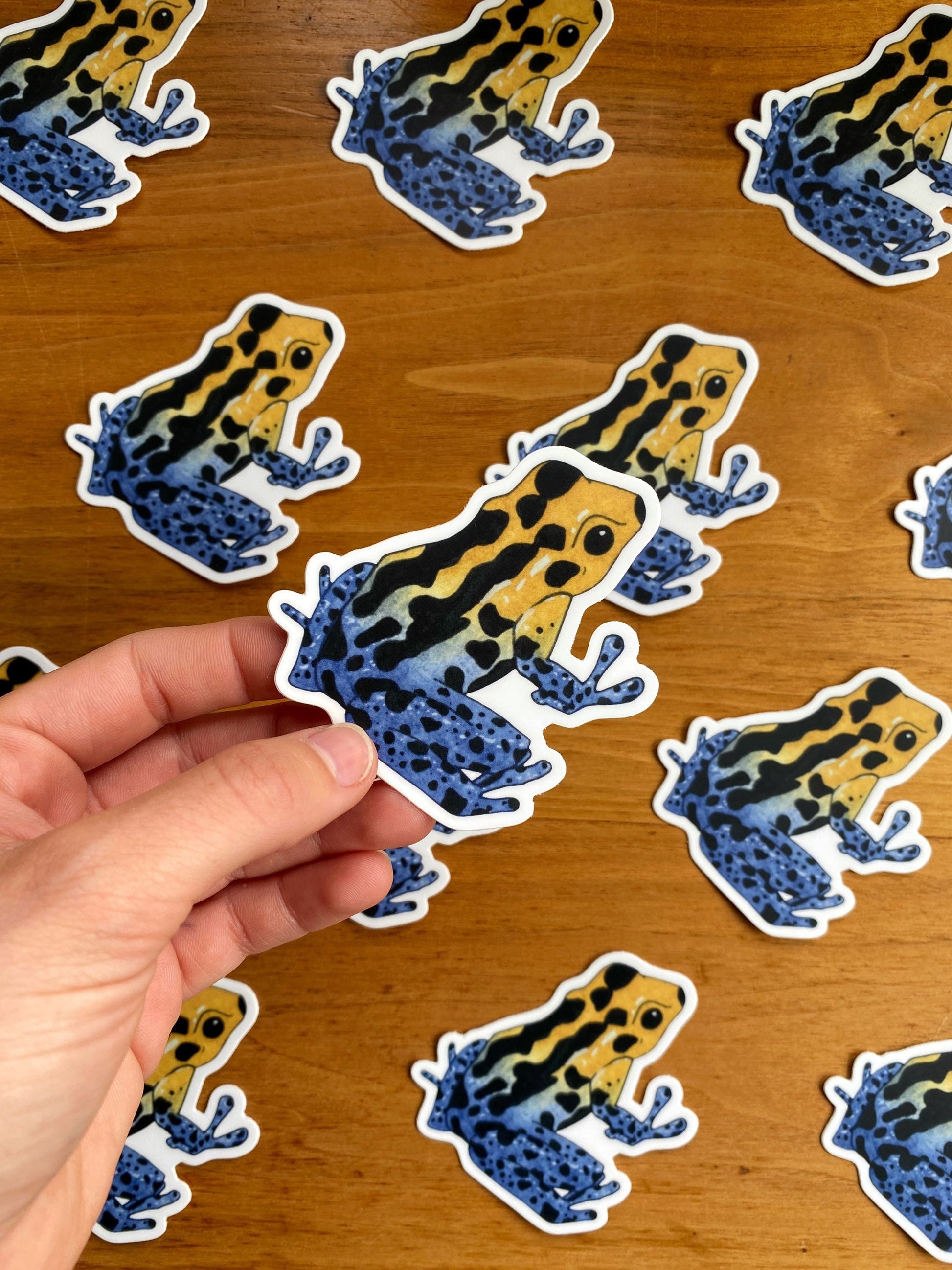 Watercolor dart frog sticker.