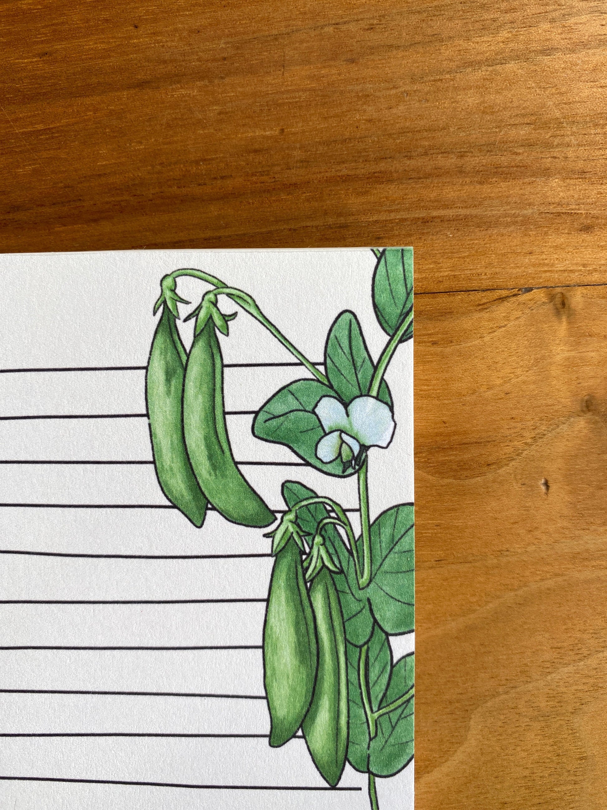 Lined snap pea notepad