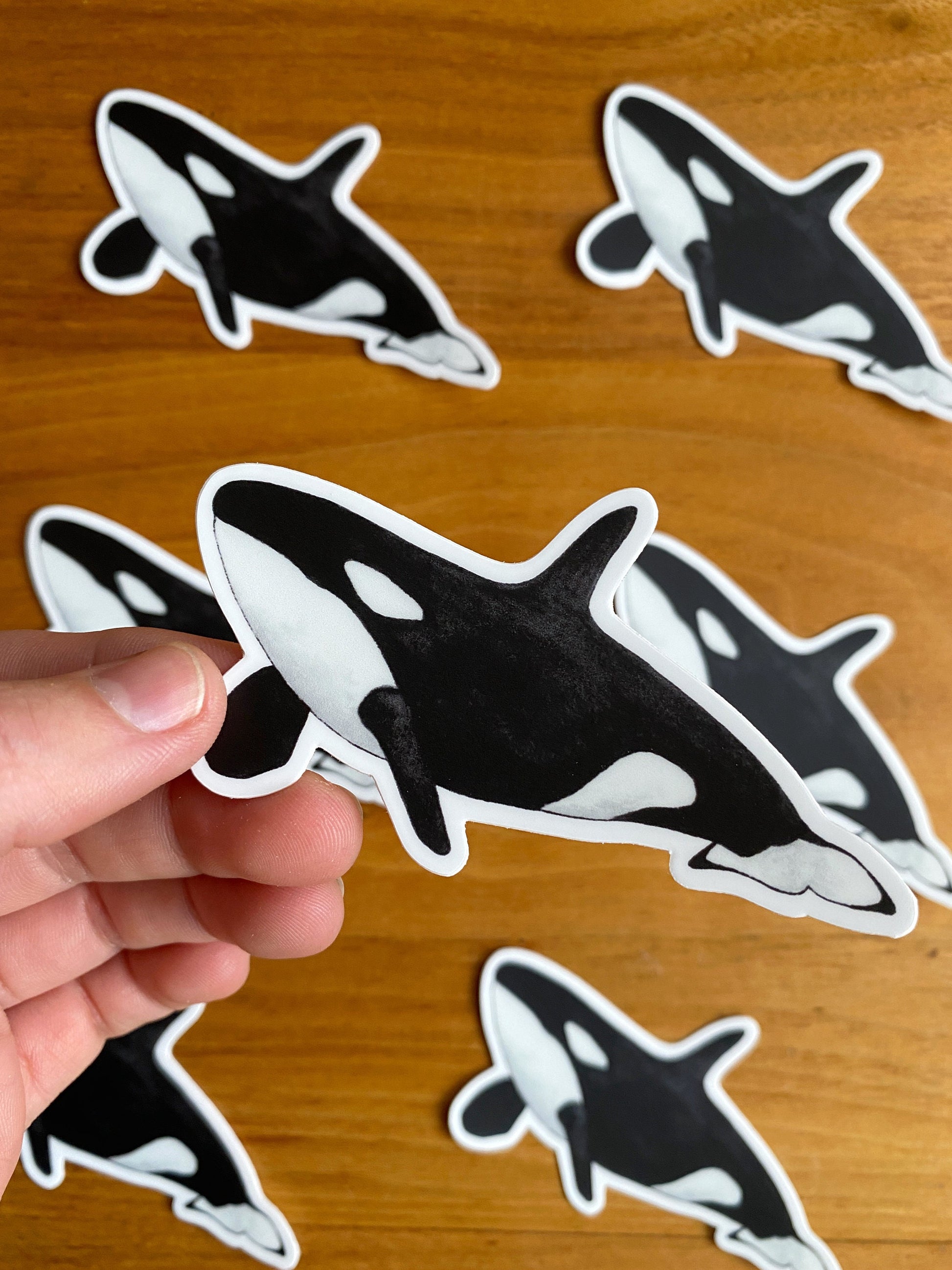 Orca whale waterproof sticker