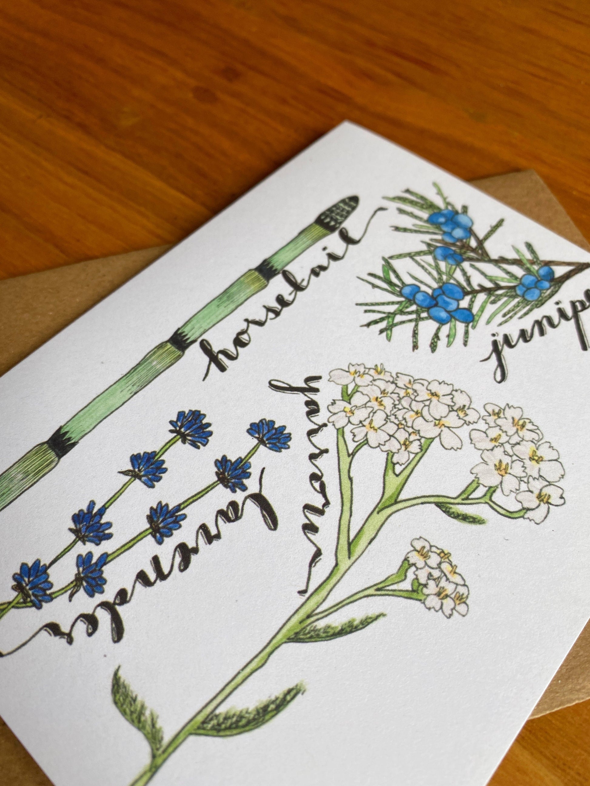 Medicinal plant greeting card made from watercolor