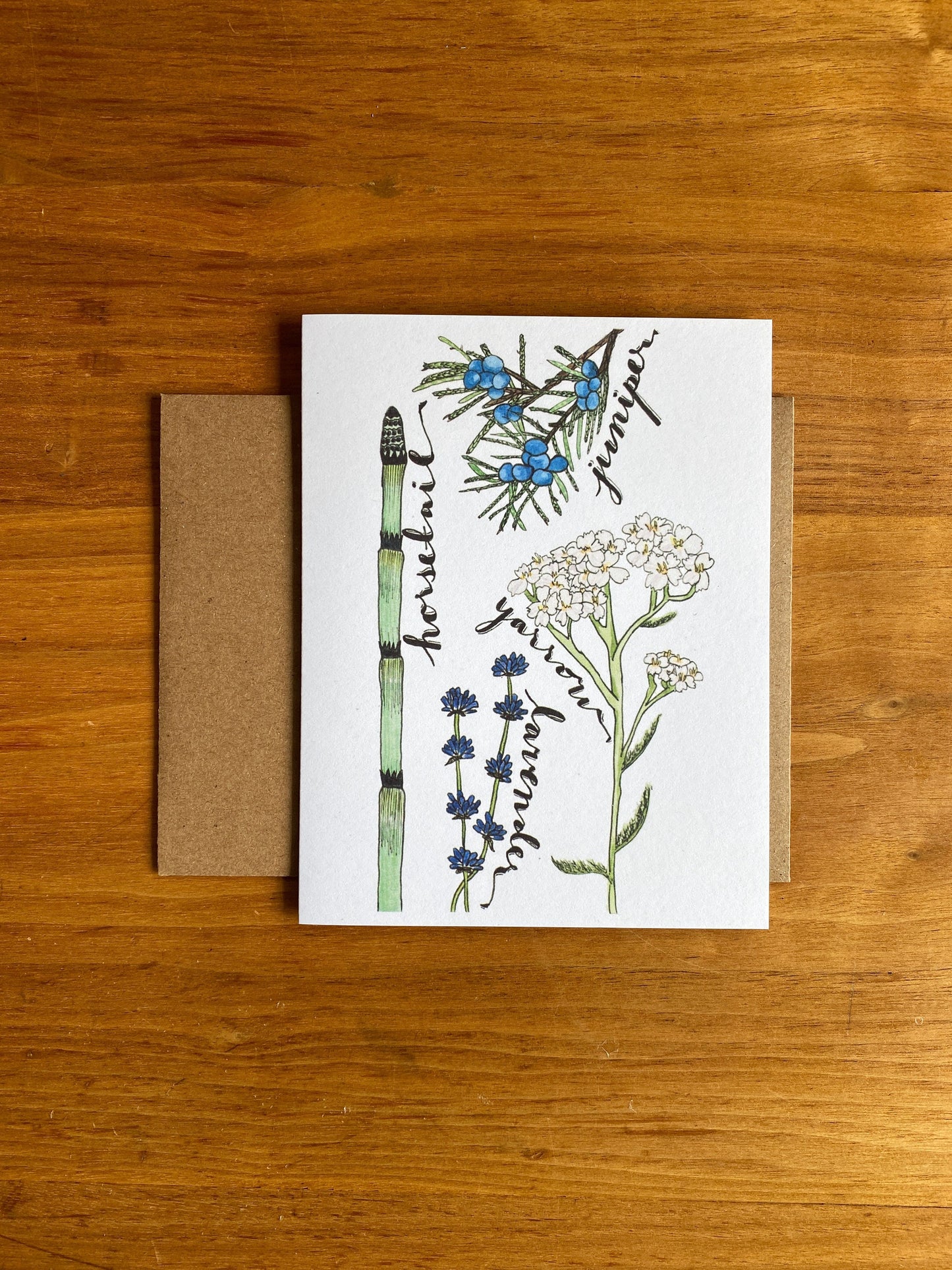 Medicinal plant greeting card made from watercolor