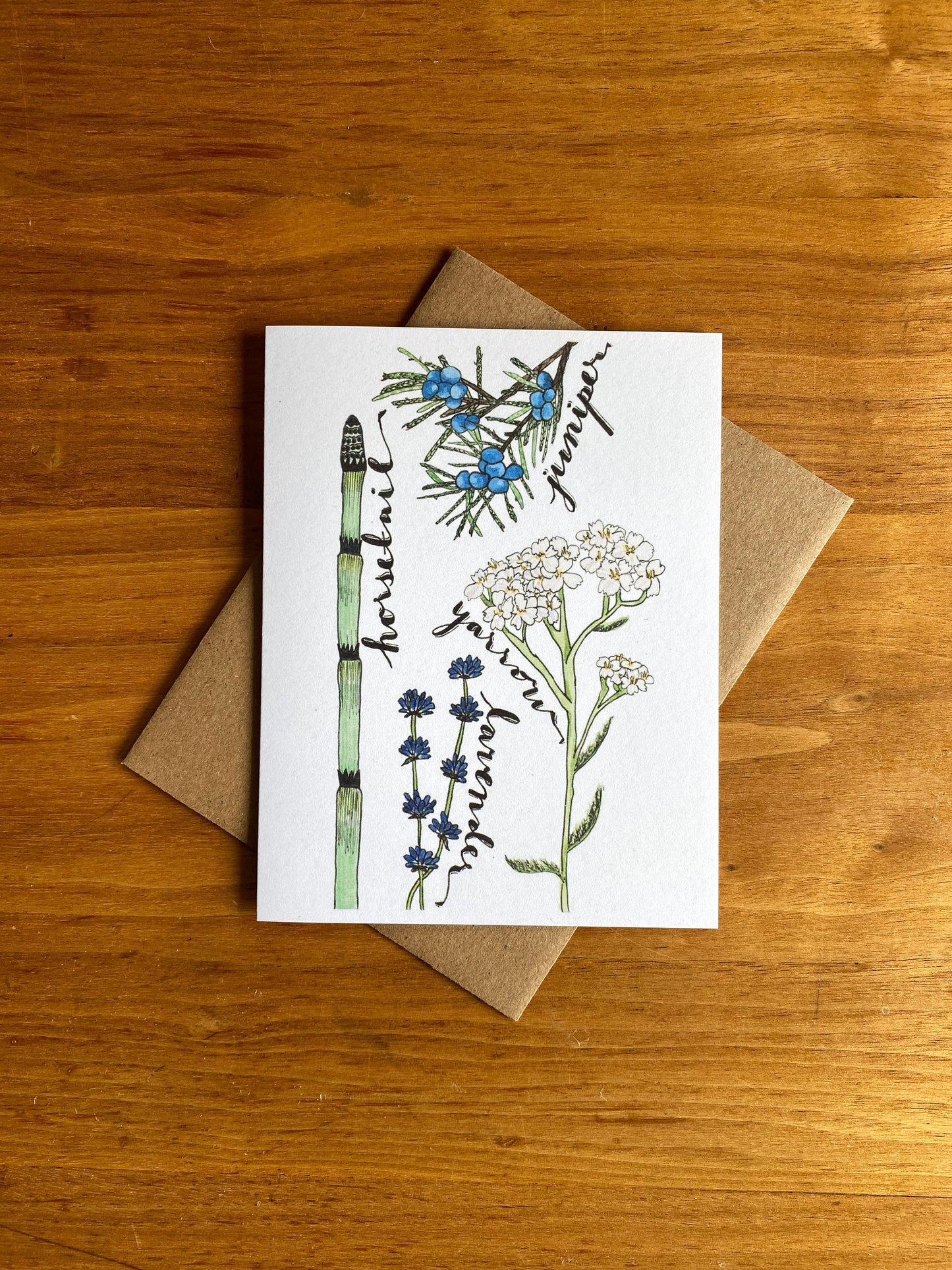 Medicinal plant greeting card made from watercolor